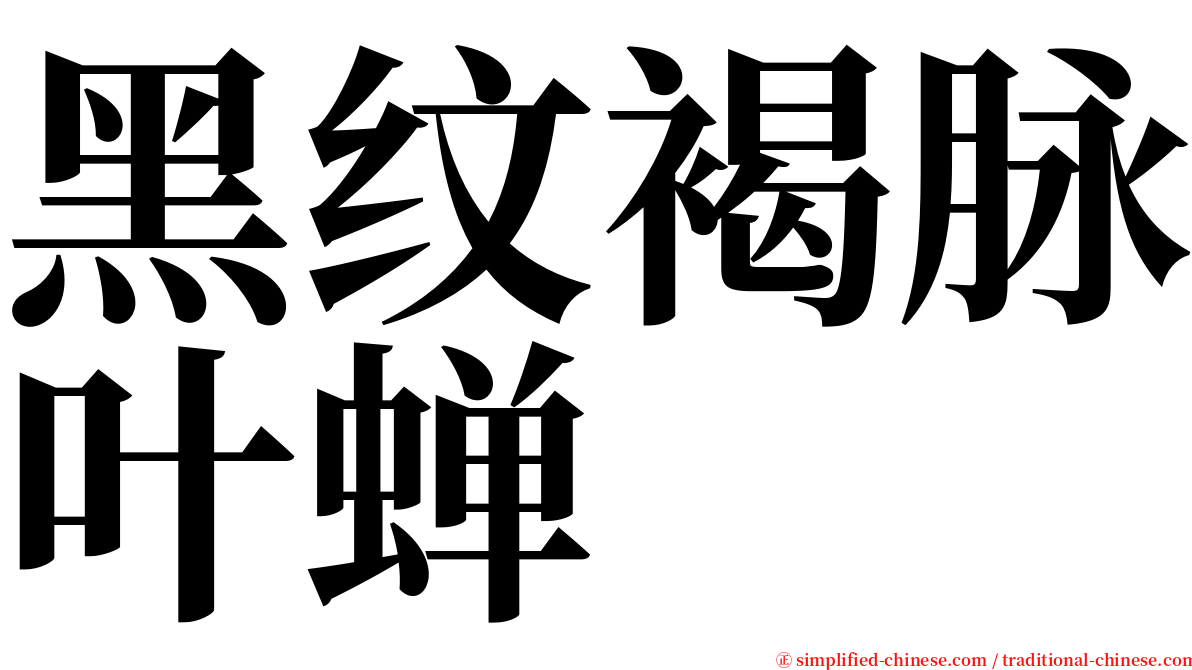 黑纹褐脉叶蝉 serif font