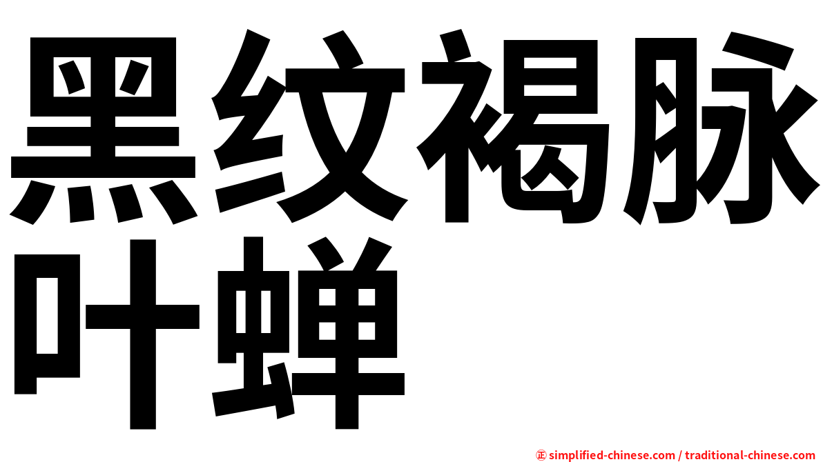 黑纹褐脉叶蝉