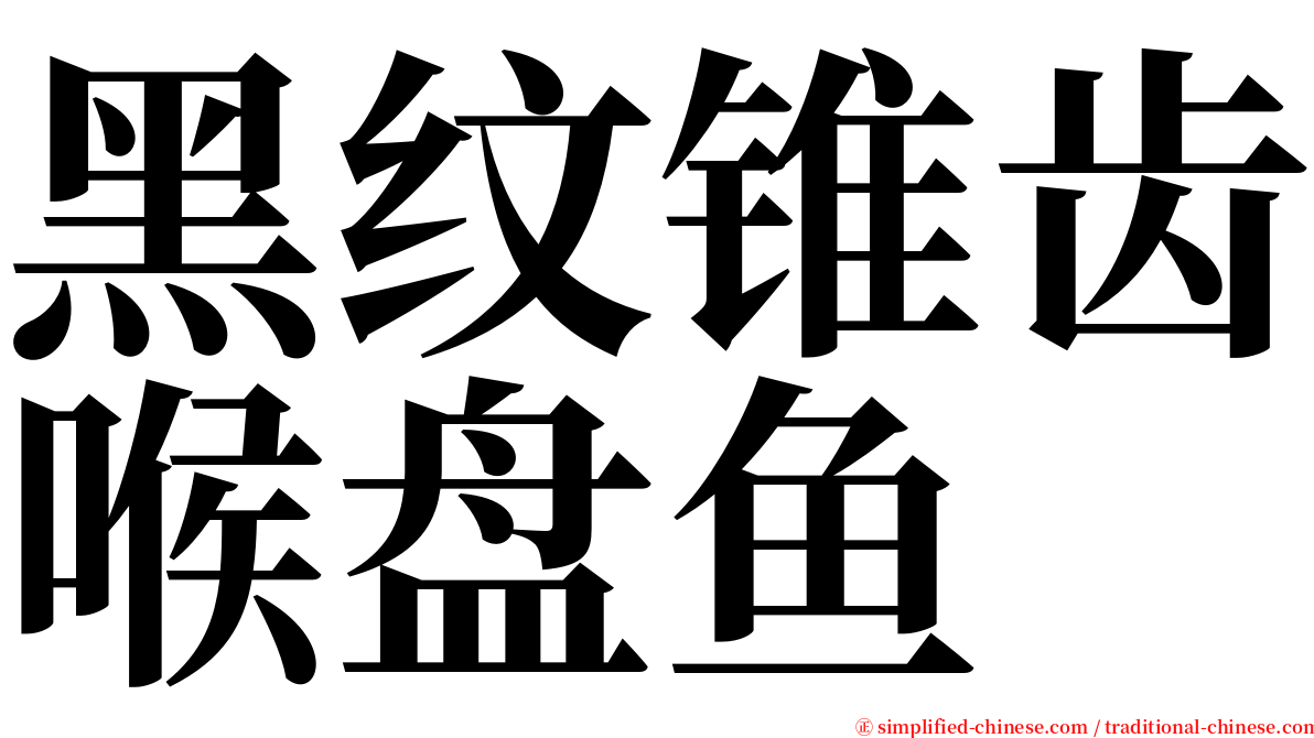 黑纹锥齿喉盘鱼 serif font