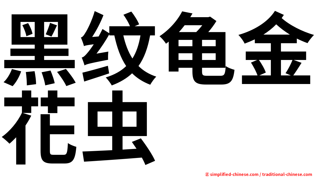 黑纹龟金花虫