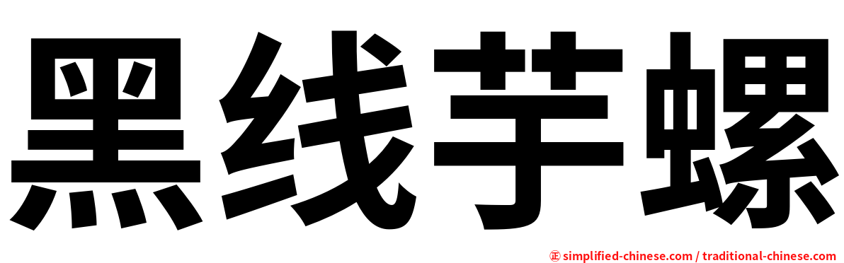 黑线芋螺