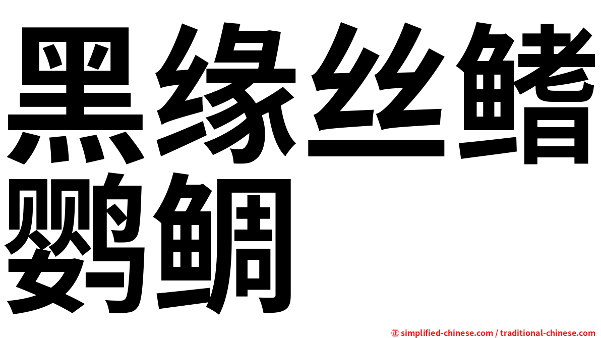 黑缘丝鳍鹦鲷