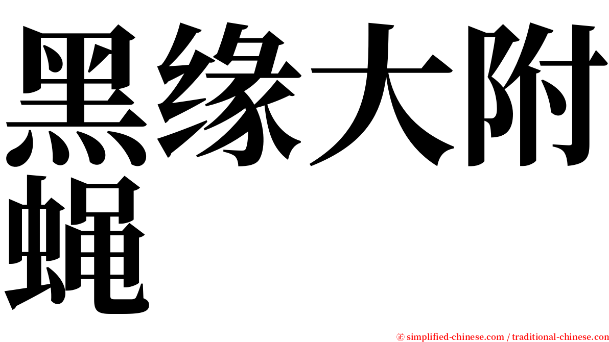 黑缘大附蝇 serif font