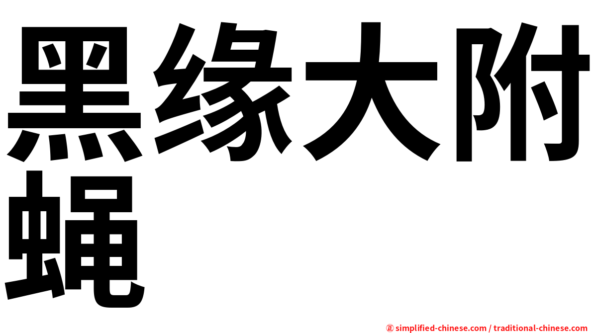 黑缘大附蝇