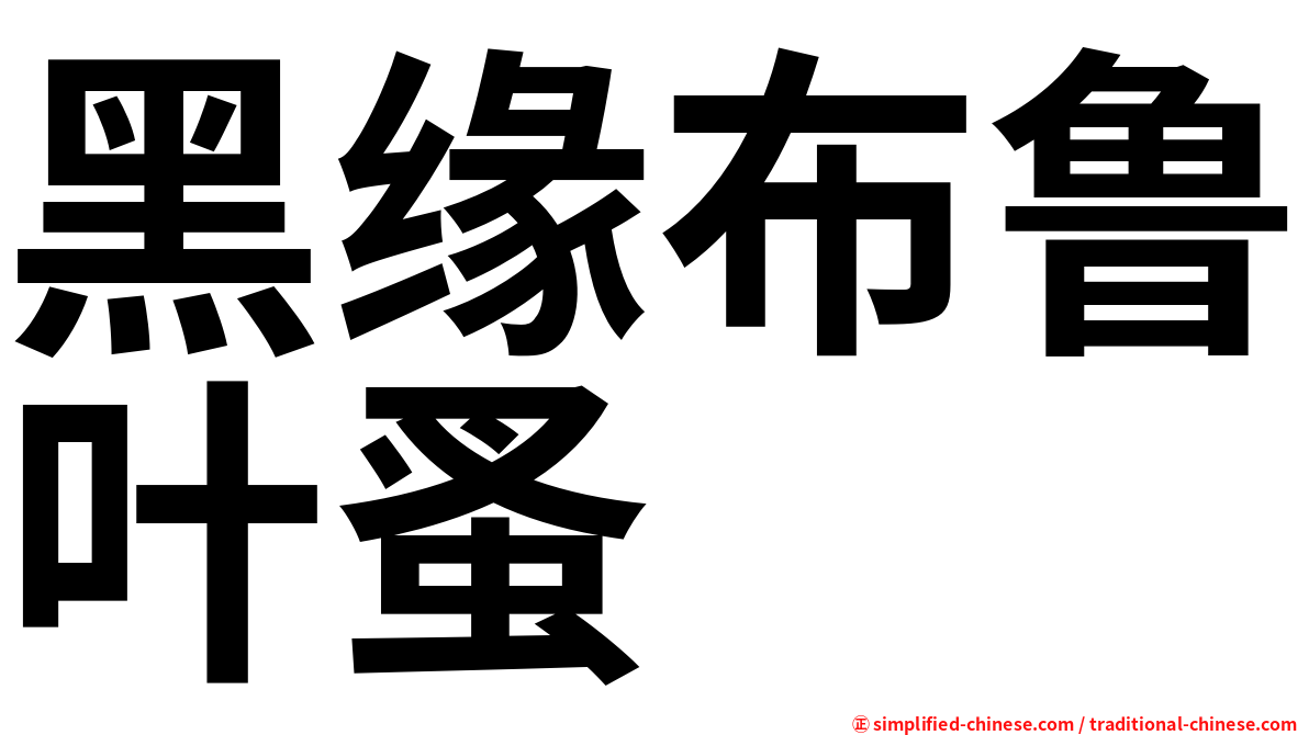 黑缘布鲁叶蚤