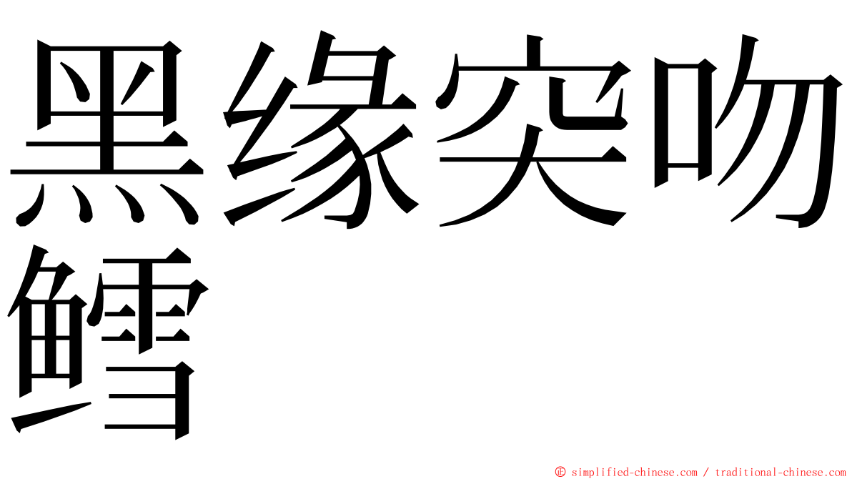 黑缘突吻鳕 ming font