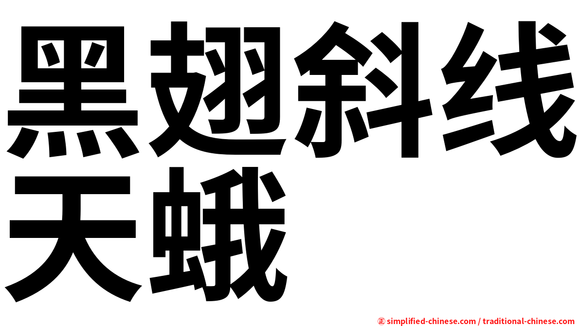 黑翅斜线天蛾