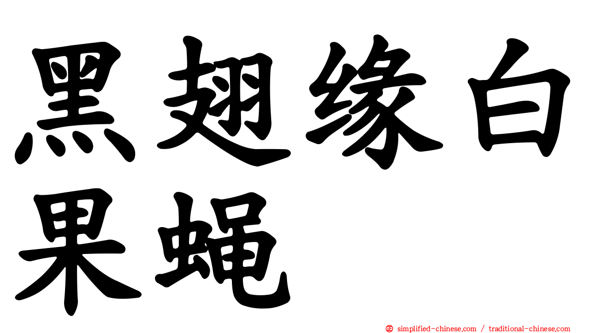 黑翅缘白果蝇