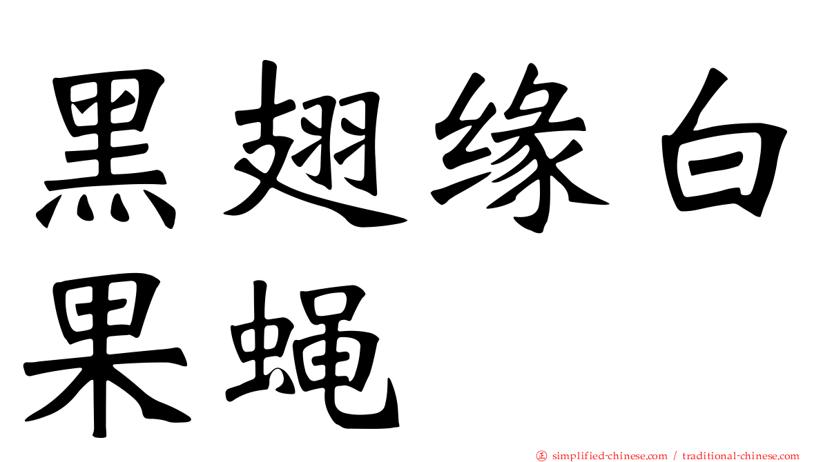 黑翅缘白果蝇