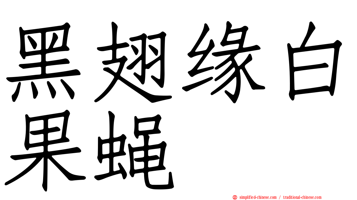 黑翅缘白果蝇