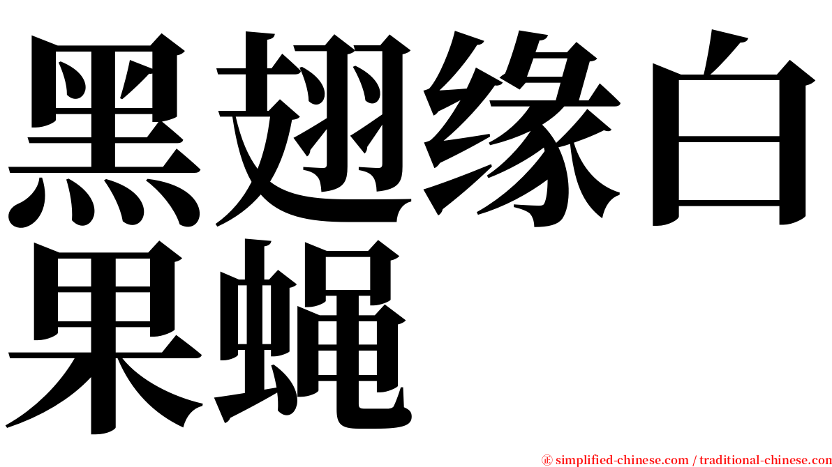 黑翅缘白果蝇 serif font
