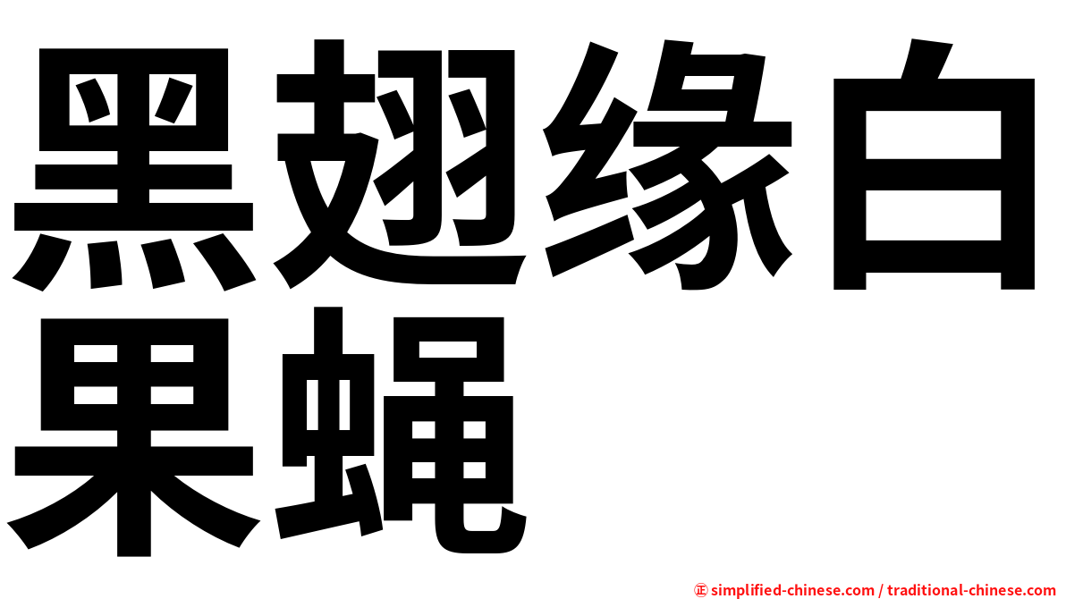 黑翅缘白果蝇