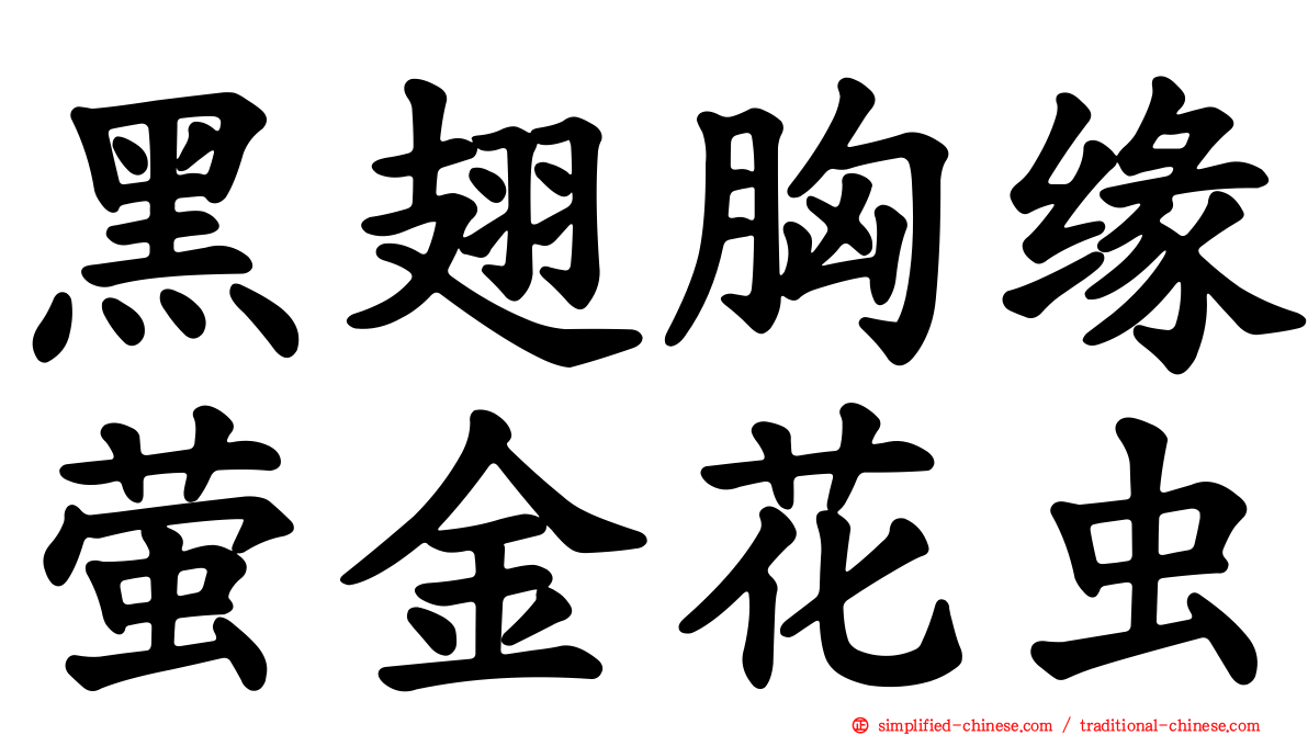 黑翅胸缘萤金花虫