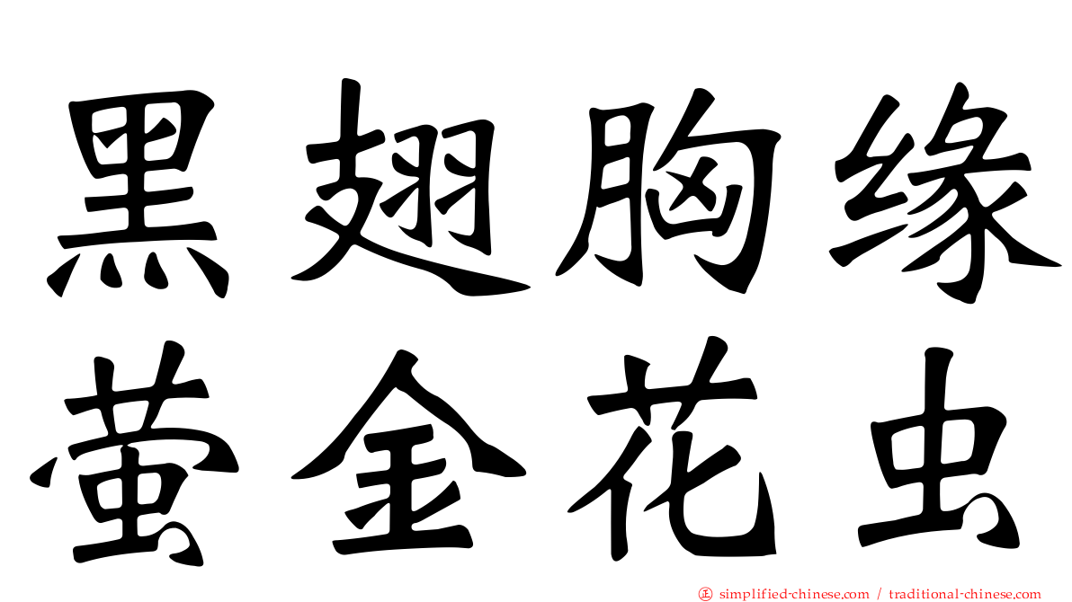 黑翅胸缘萤金花虫