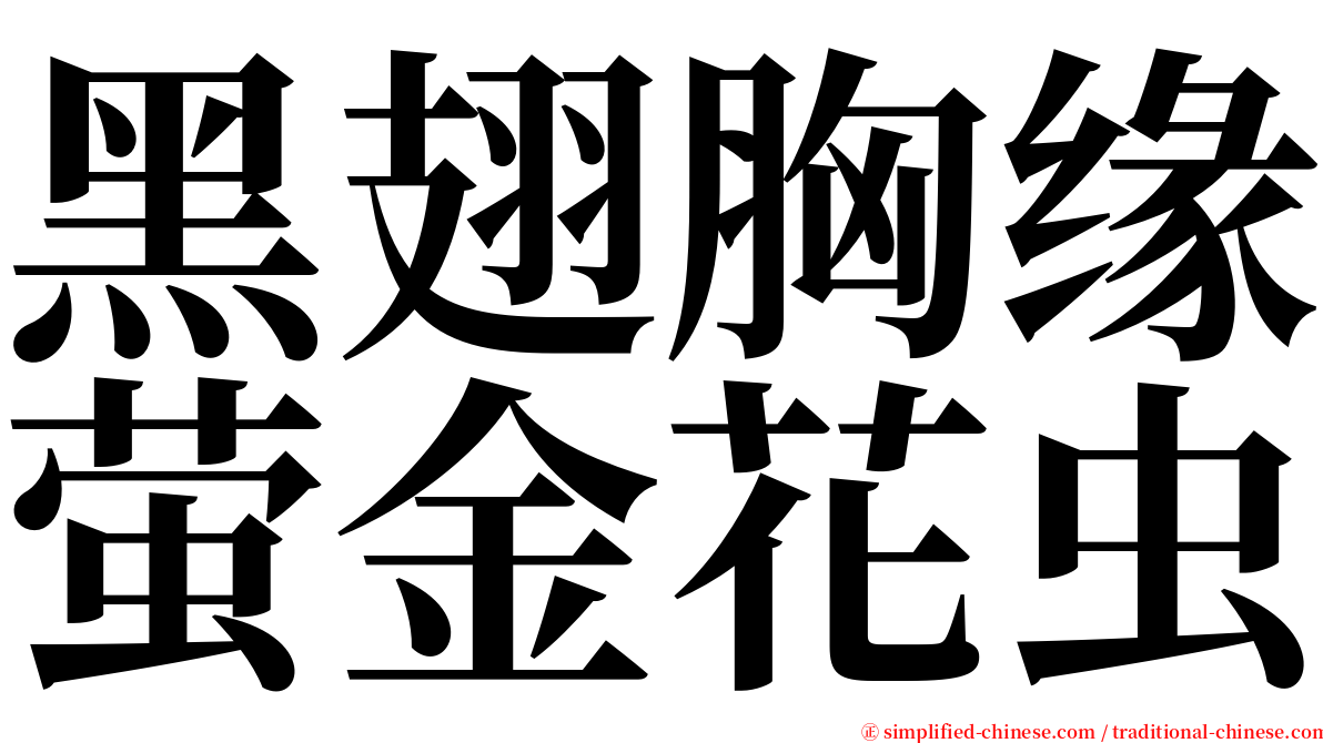 黑翅胸缘萤金花虫 serif font