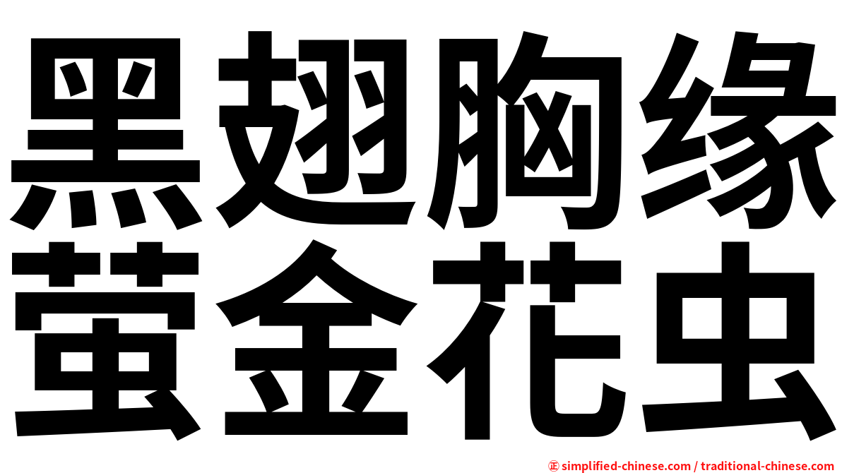 黑翅胸缘萤金花虫