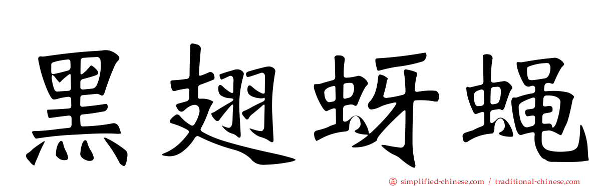 黑翅蚜蝇