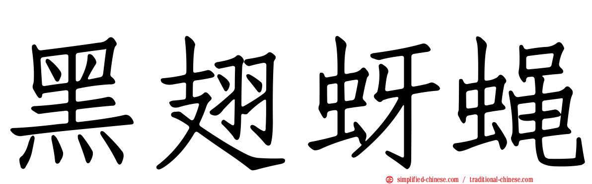 黑翅蚜蝇