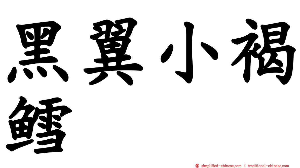 黑翼小褐鳕