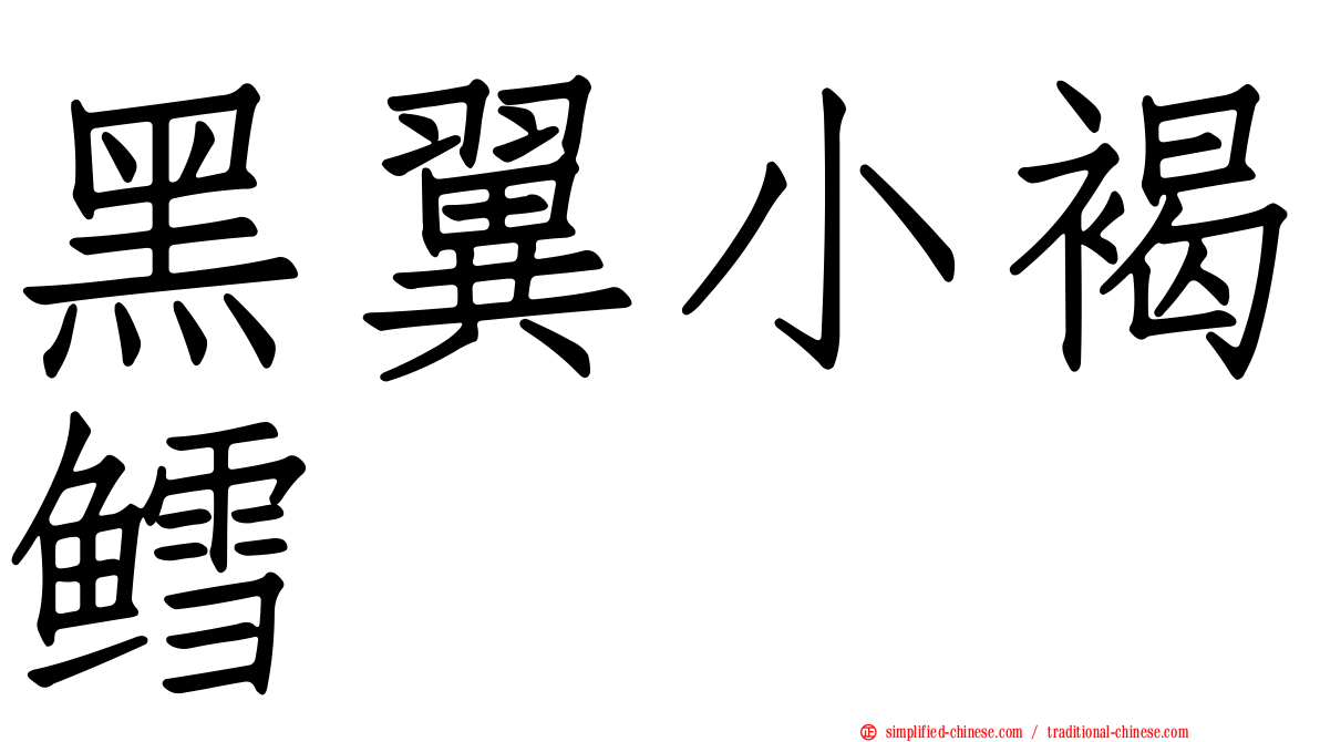 黑翼小褐鳕