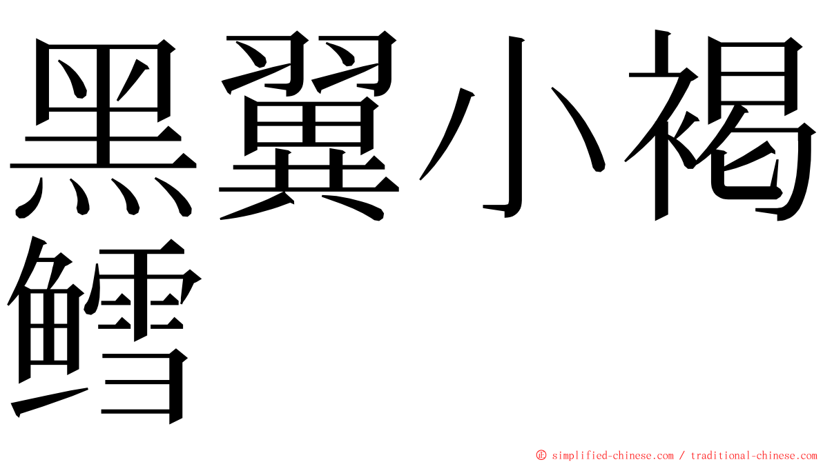 黑翼小褐鳕 ming font