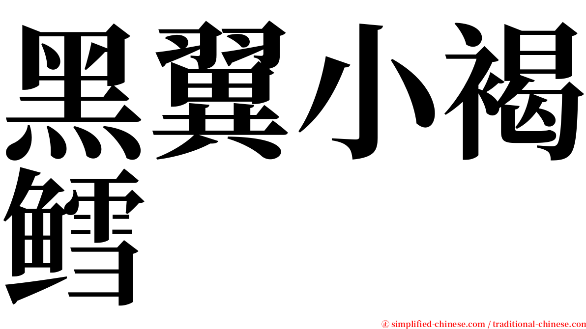 黑翼小褐鳕 serif font