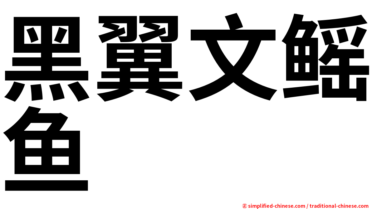 黑翼文鳐鱼