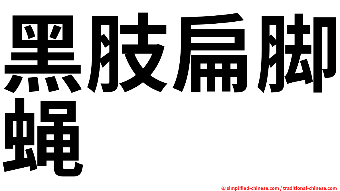 黑肢扁脚蝇