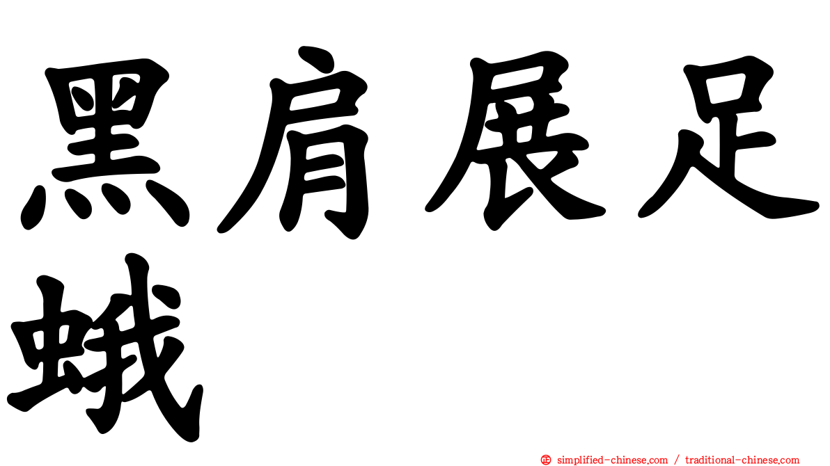 黑肩展足蛾