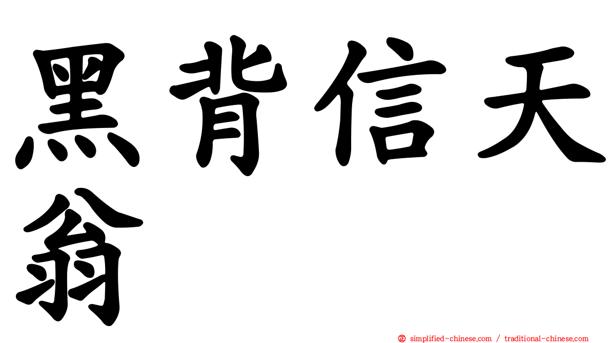 黑背信天翁