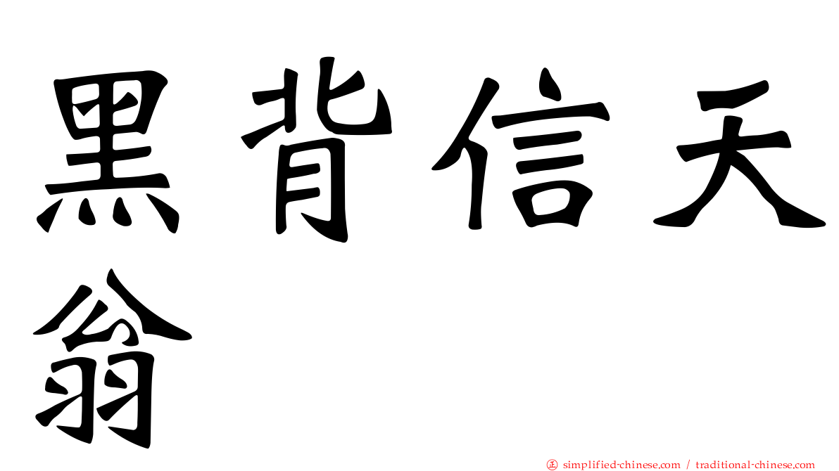 黑背信天翁