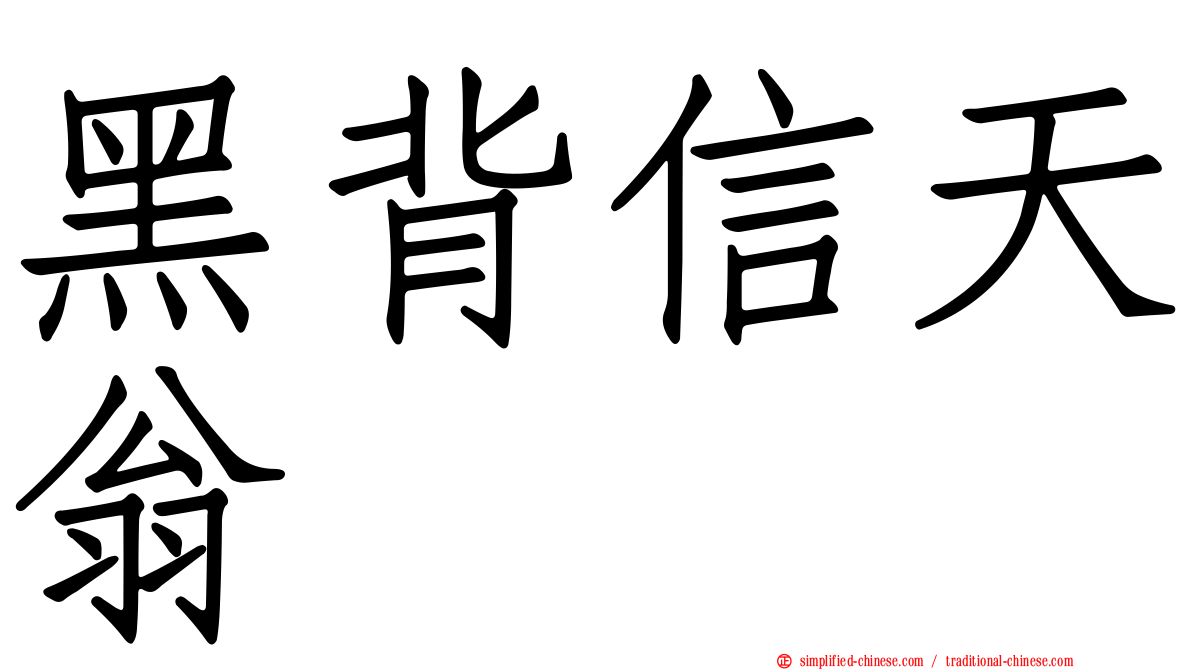 黑背信天翁