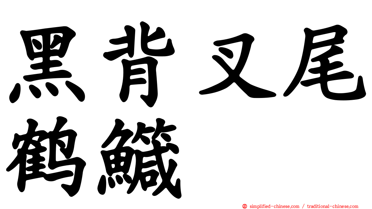 黑背叉尾鹤鱵