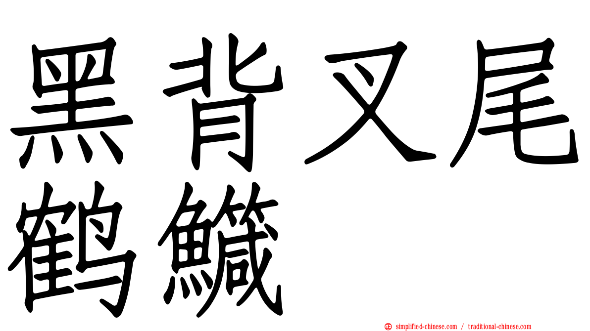 黑背叉尾鹤鱵