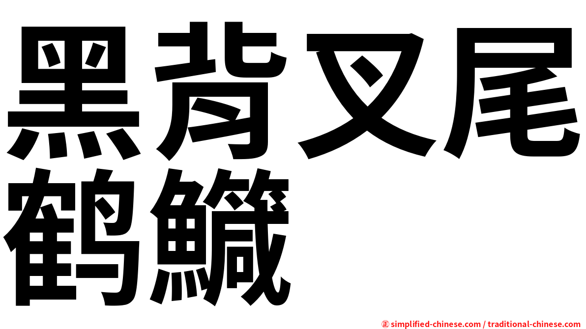 黑背叉尾鹤鱵