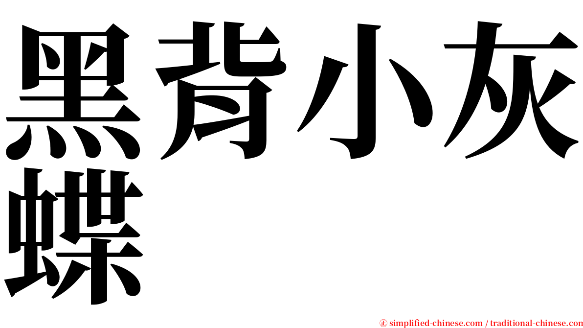 黑背小灰蝶 serif font
