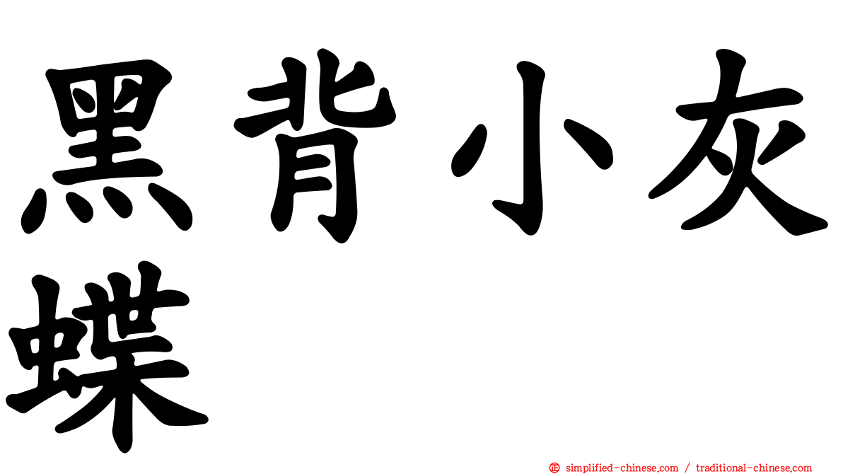 黑背小灰蝶