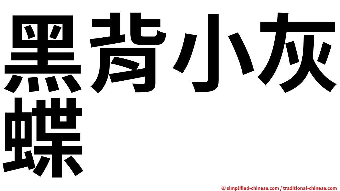 黑背小灰蝶