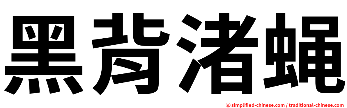 黑背渚蝇