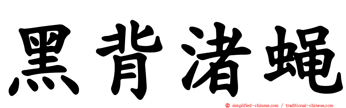 黑背渚蝇