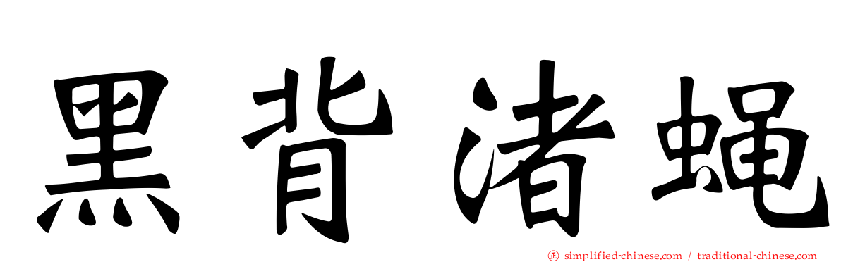 黑背渚蝇
