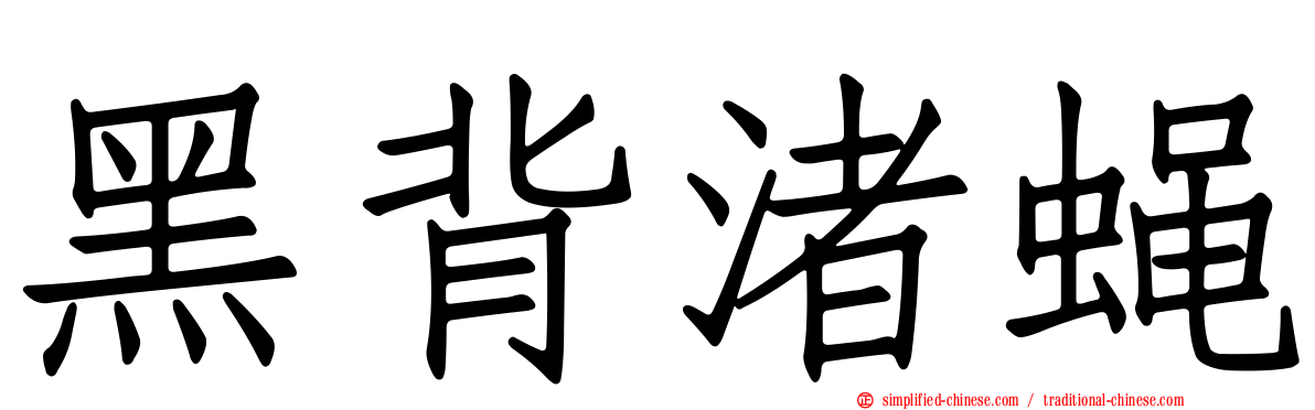 黑背渚蝇