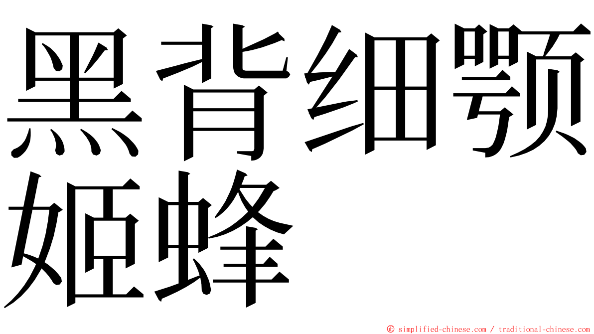 黑背细颚姬蜂 ming font