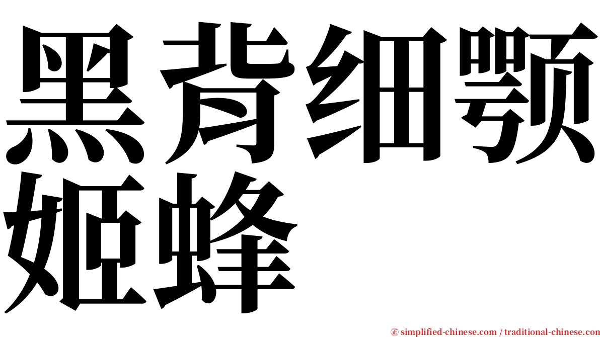 黑背细颚姬蜂 serif font