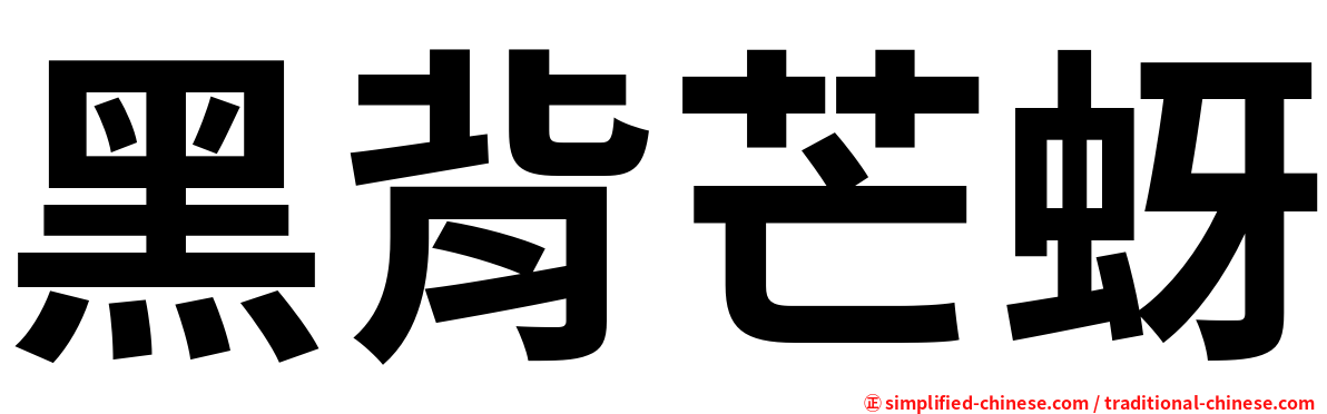 黑背芒蚜