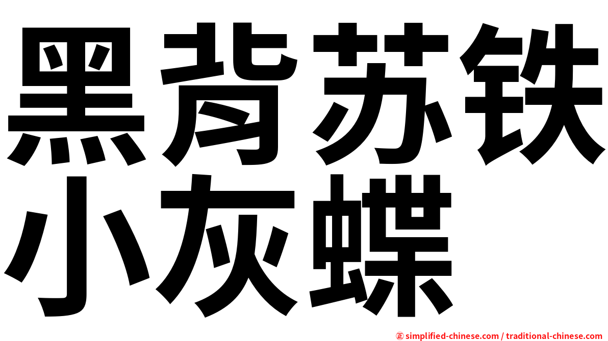 黑背苏铁小灰蝶