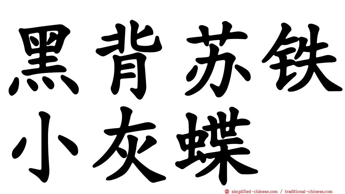 黑背苏铁小灰蝶