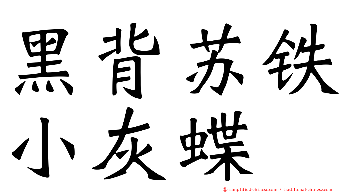 黑背苏铁小灰蝶