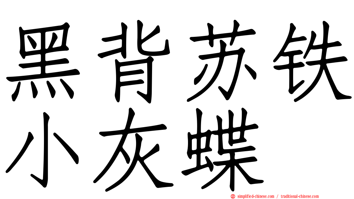 黑背苏铁小灰蝶