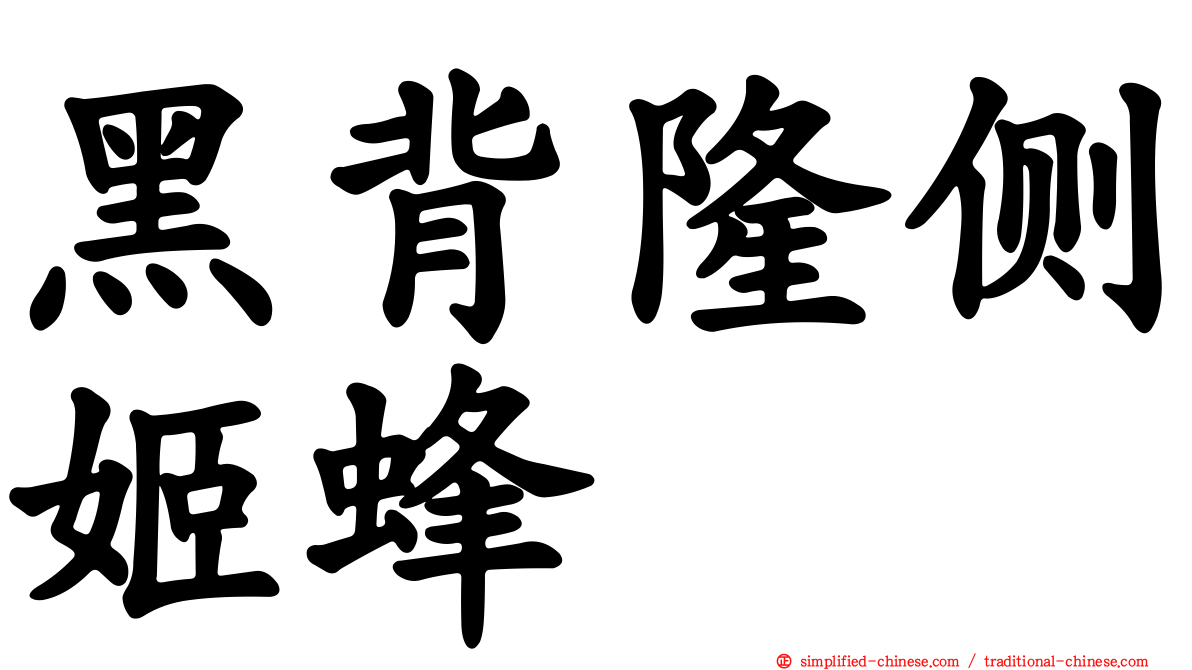 黑背隆侧姬蜂